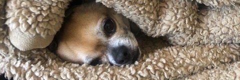 IceMadn's profile banner image