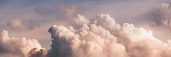 _amberess Profile Banner