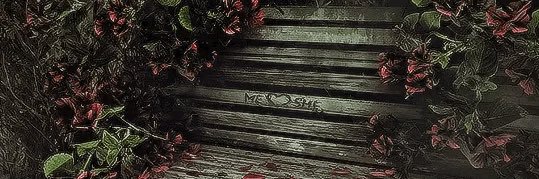 ladyrcdrosc's profile banner image
