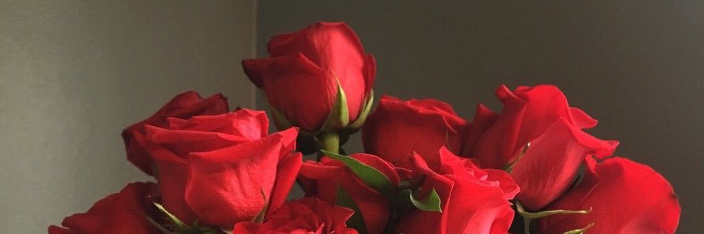 S_Ter11's profile banner image