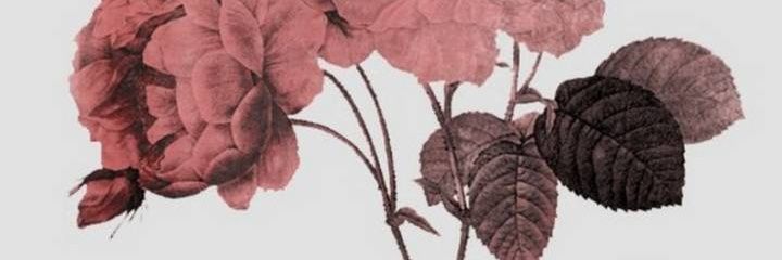 That_Chick_Savz's profile banner image