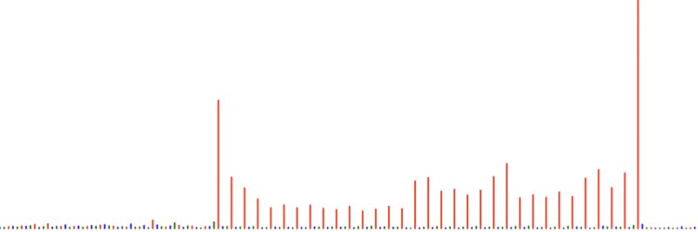 Calviello Lab banner