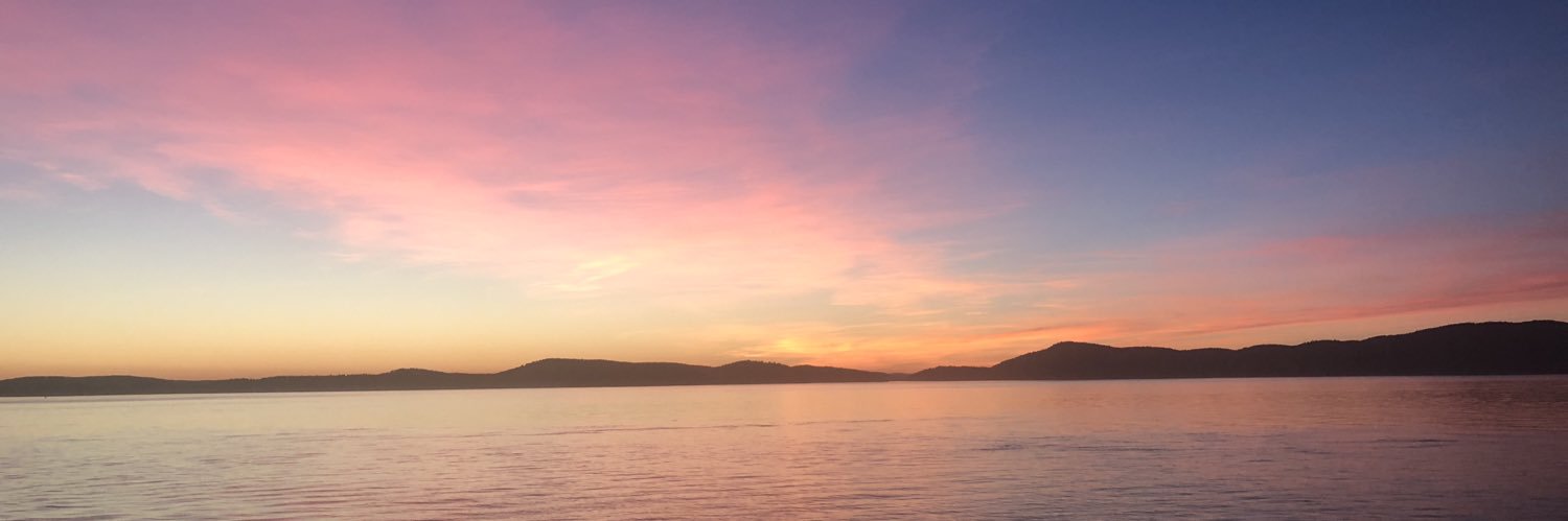 Allie515's profile banner image
