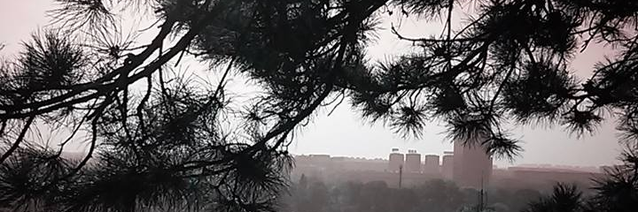 mijkovic_n's profile banner image