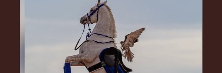 كبرياء وضحى banner