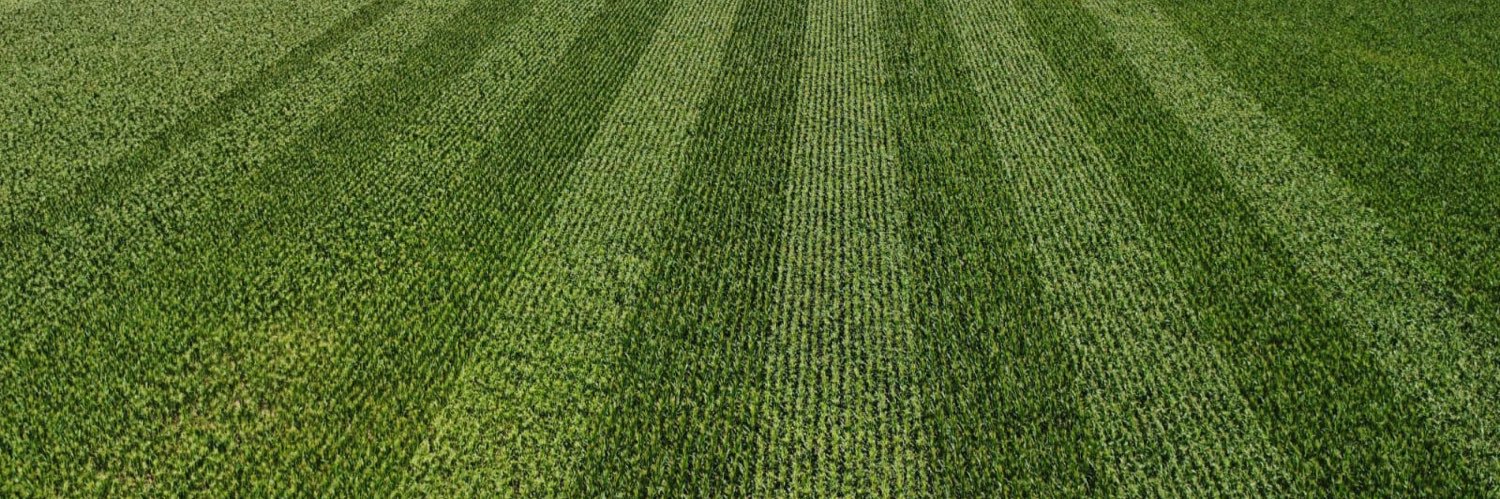 Sebastian Alvarez banner