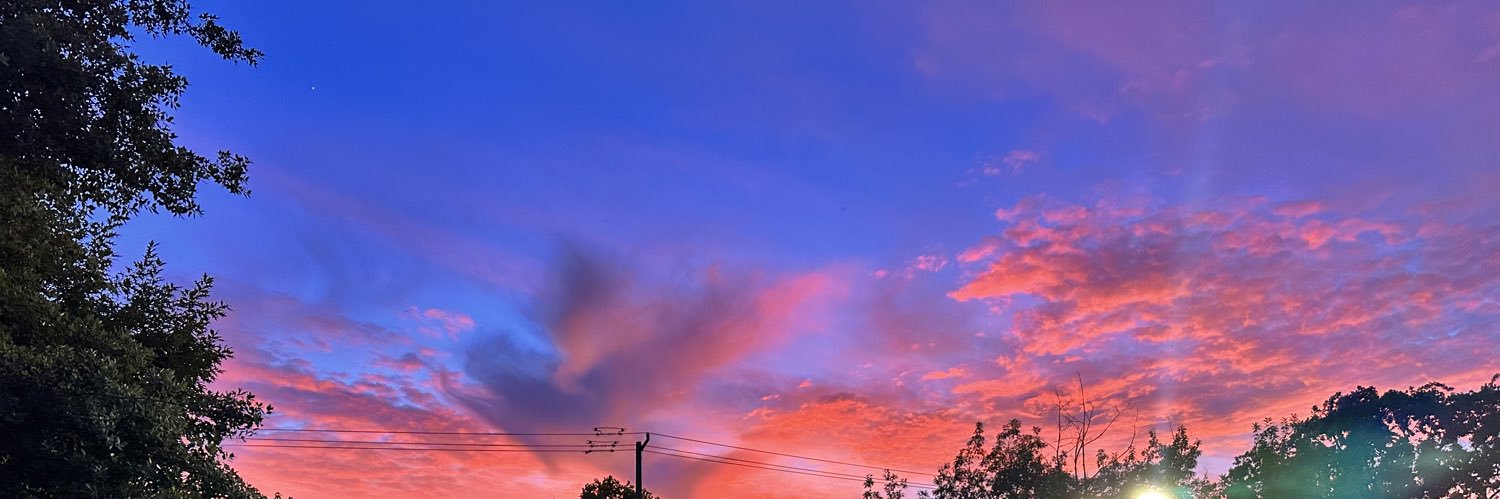 Theresa Allison, MD, M. Music, PhD banner