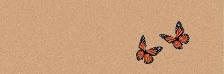 amnaverse_'s profile banner image