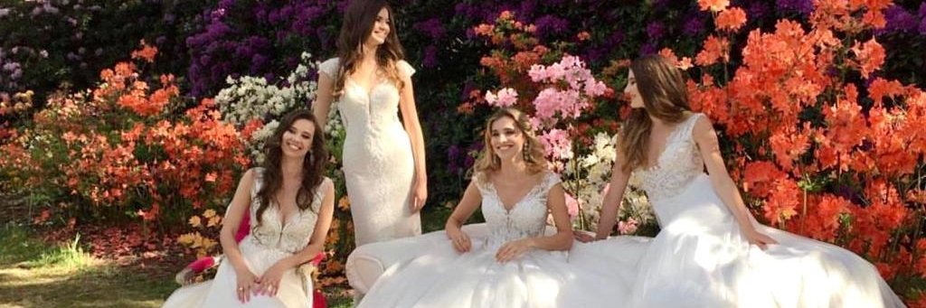 Novias_Mary's profile banner image