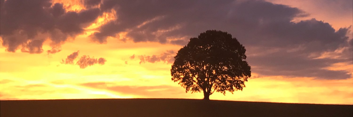 lshore84's profile banner image