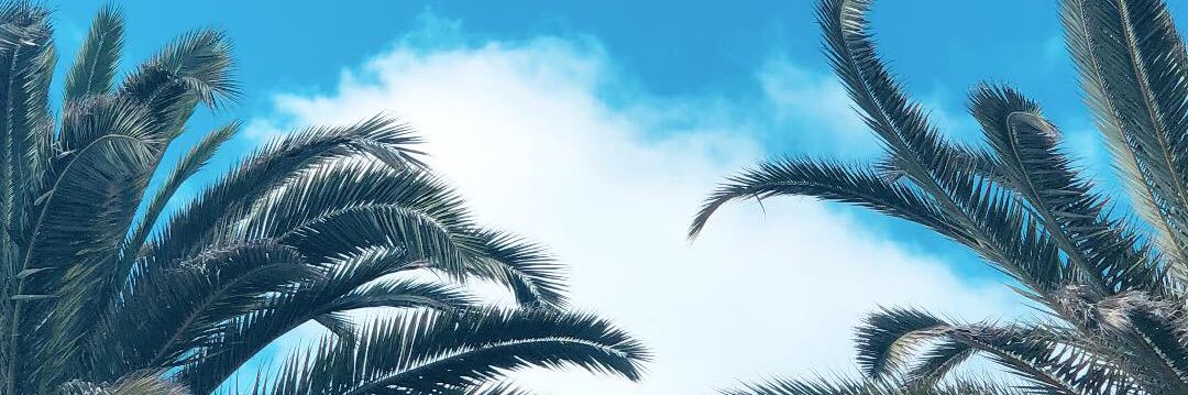 jennaclaree's profile banner image