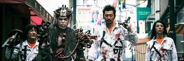 TurtoiseKnight banner