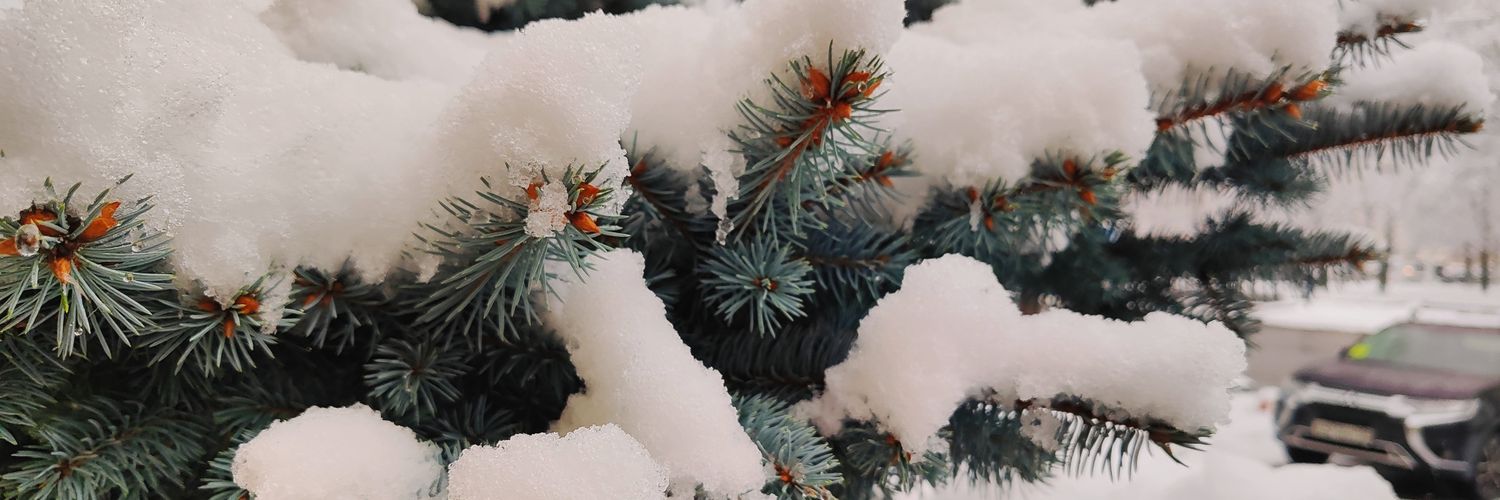 Лисицевое banner