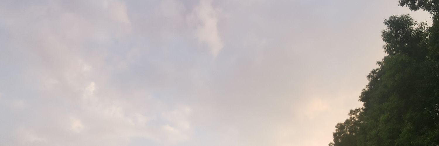Tuozz2's profile banner image