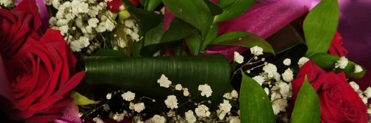 Shintel Sibanda banner