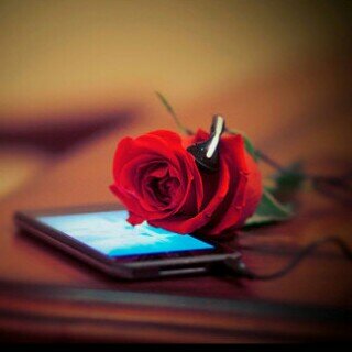 ‎فهد🕊🖤 banner