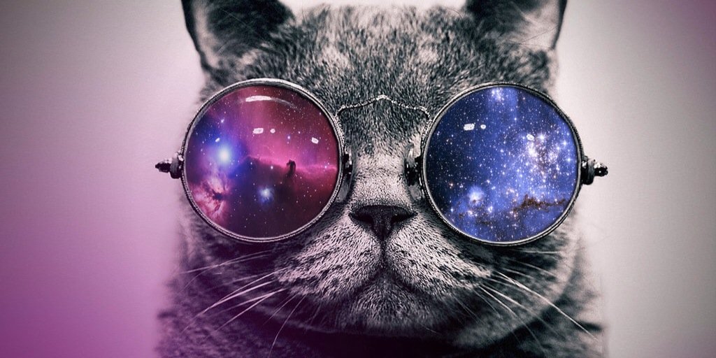 DontDoubtMee's profile banner image