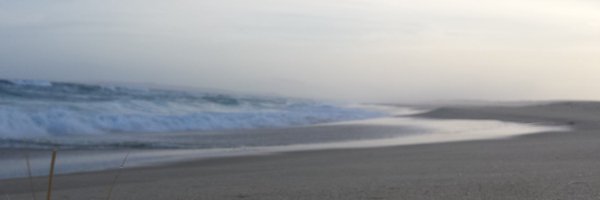 DrHeatherMurray Profile Banner