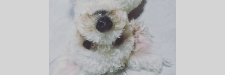 Fitee_Am's profile banner image