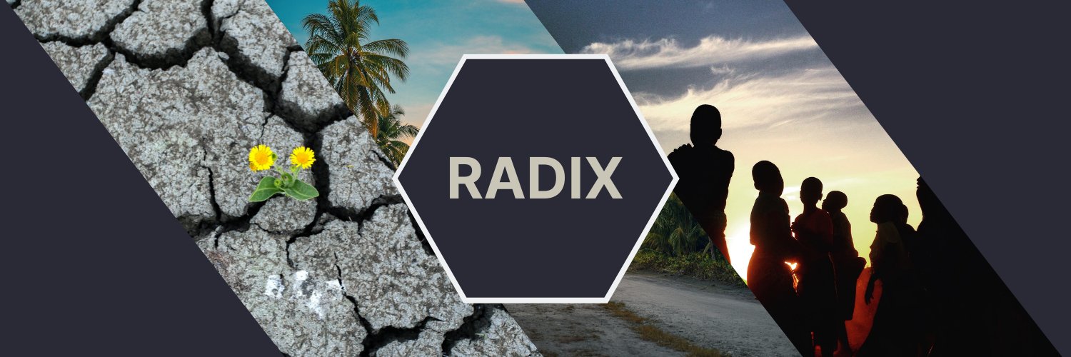 RADIX: Radical Interpretations of Disasters banner