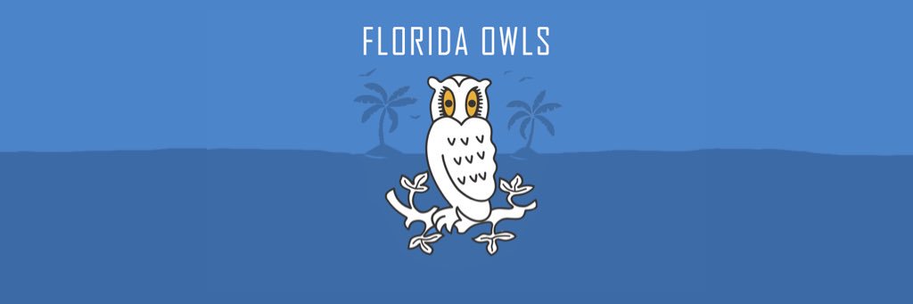 floridaowls's profile banner image