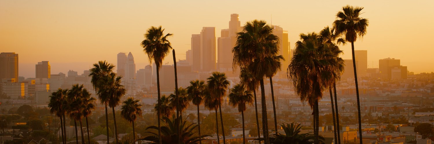 Bluebird Review banner