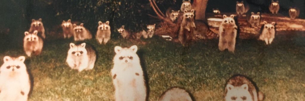 pimpolho cabeçudo ❤️ banner