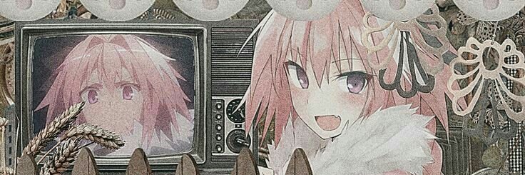 microbro banner