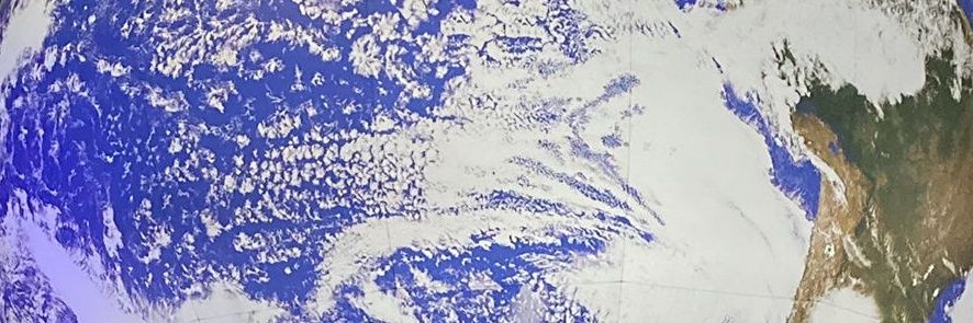 lewtoepfer's profile banner image