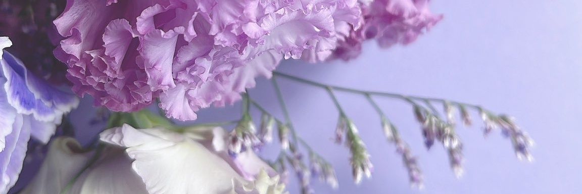 4_bells's profile banner image