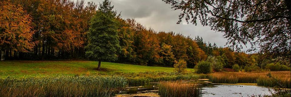 Jason O'Shaughnessy banner