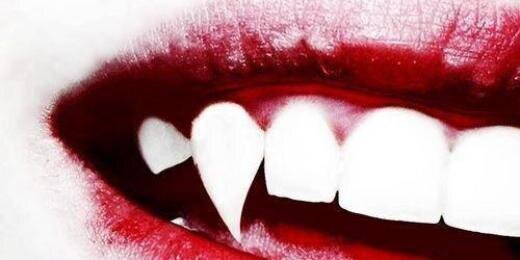 Lisaahoy's profile banner image