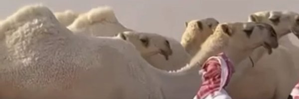 aaaa2030aa1 Profile Banner