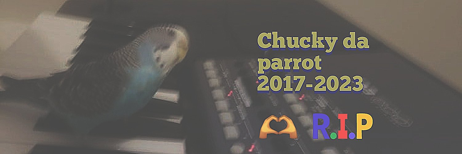 birdy4life🇺🇲🐥💕 ᵖᵃʳʳᵒᵗʸ banner