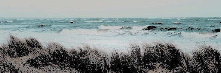 SWTSOURS's profile banner image