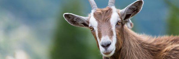 DemorehB Profile Banner