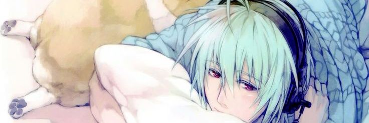 • felix • banner
