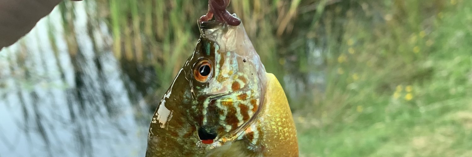 barstoolkatie's profile banner image