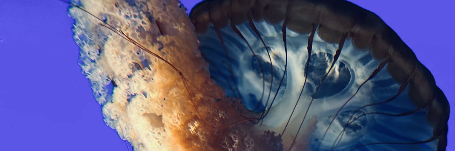 dheard94's profile banner image