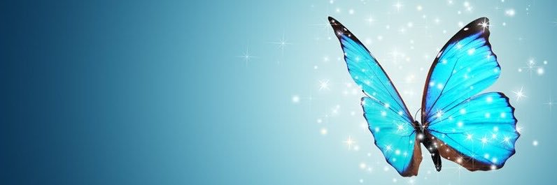 Claire___3's profile banner image