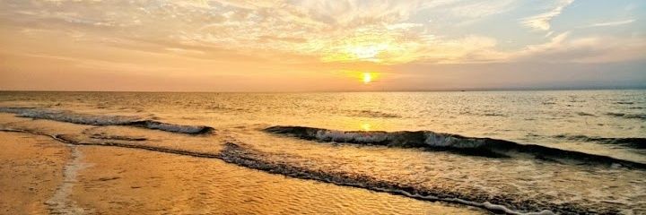 sofiaamp02's profile banner image