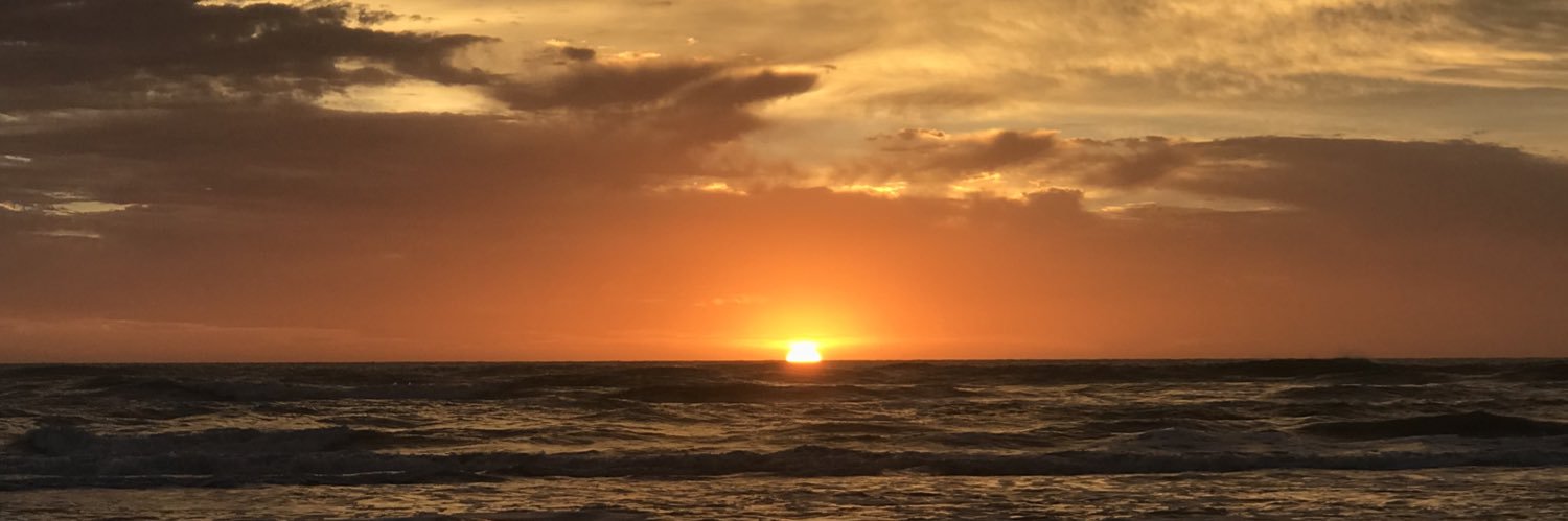 La Mony del Rio banner