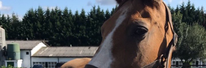 Raqueel08's profile banner image