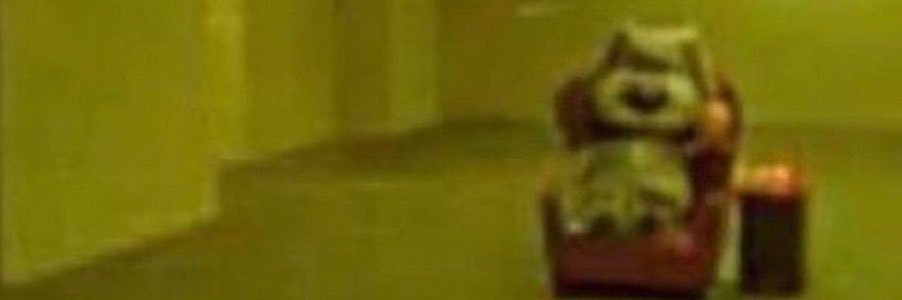 tri__nula's profile banner image