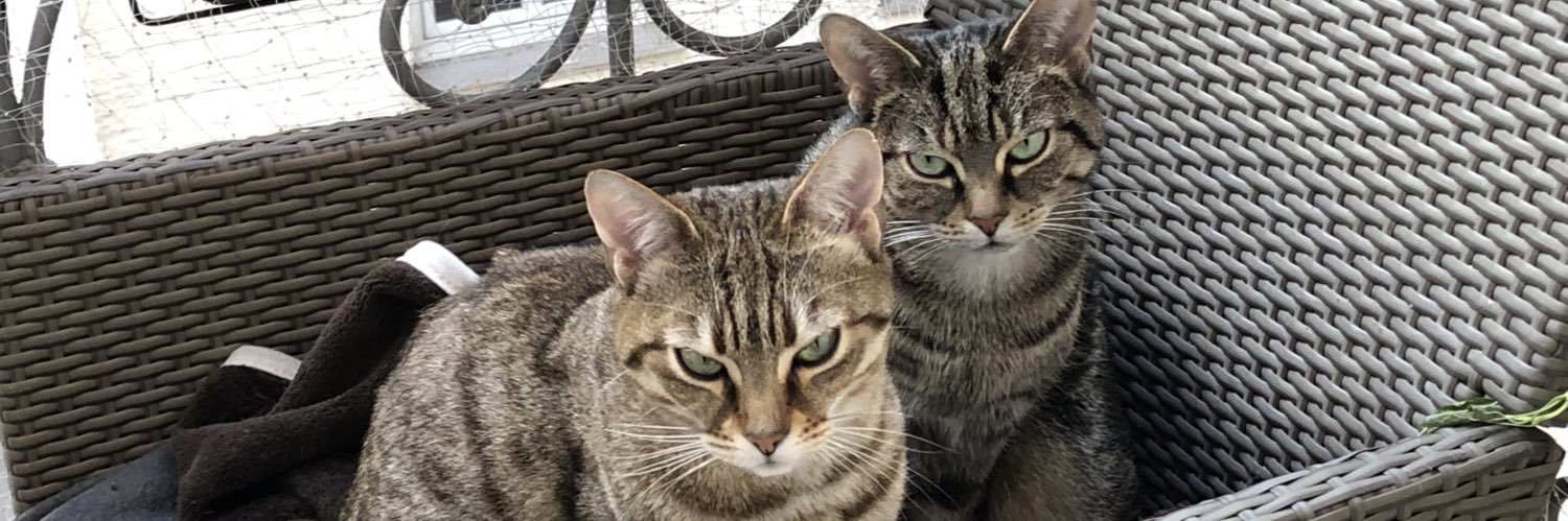 Günter Klein banner