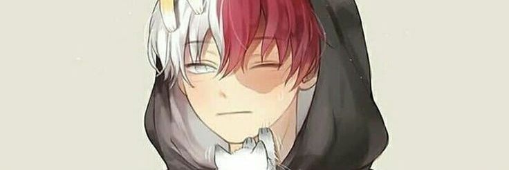 TodorokiCon's profile banner image