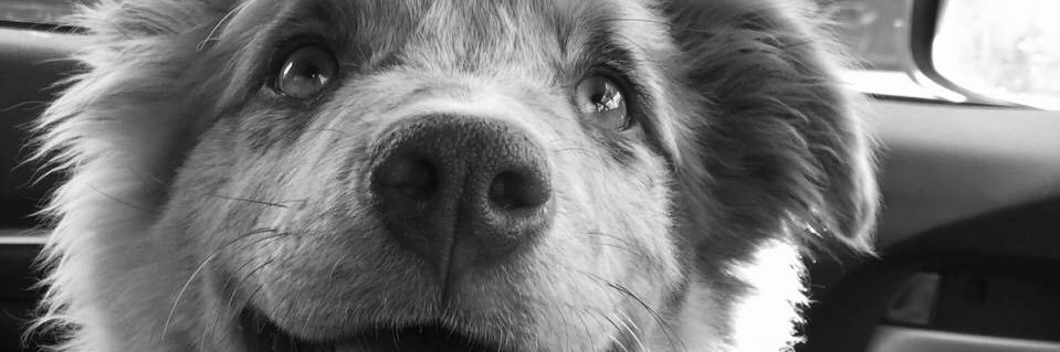 JuanPablo_Jim's profile banner image