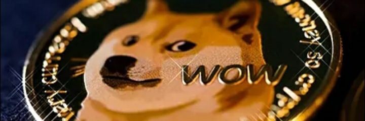 DogePater's profile banner image