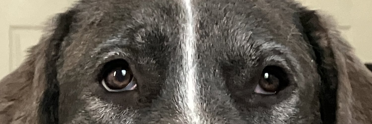ProfeAlfaro's profile banner image