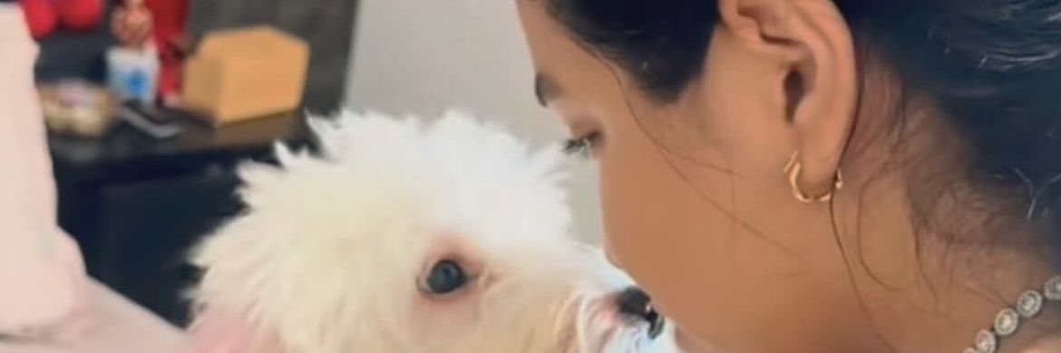 hisoydramatica's profile banner image